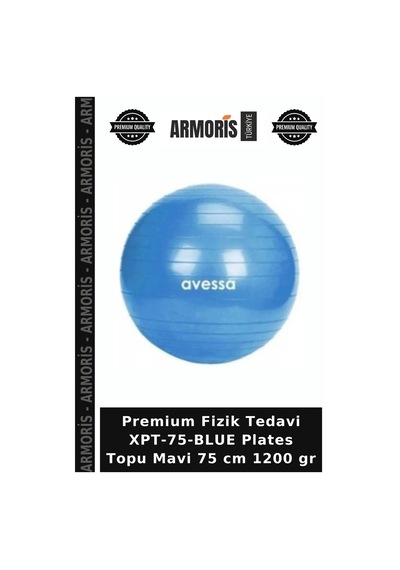 Premium Fizik Xpt-75-blue Plates Topu Mavi 75 Cm 1200 Gr