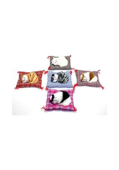 Yastıkta Uyuyan Kedi Sesli Alk24