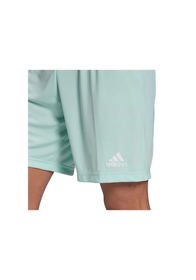Clemın Adidas Erkek Futbol Şort Ent22 Sho Hc5051 Mavi