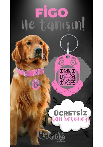 Petjoo 27.Figo Gri-Pembe Qr'lı Köpek Künyesi