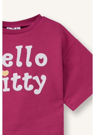 Defacto Hello Kitty Oversıze Tişört Kız Bebek H0674a526smpn73 Pembe-pn73