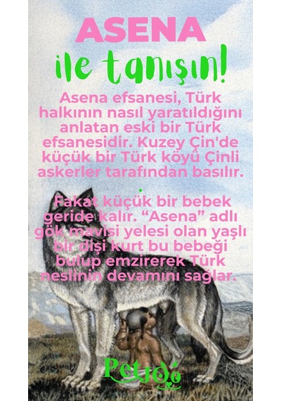 Petjoo 25.Asena Yeşil-Pembe Qr'lı Köpek Künyesi