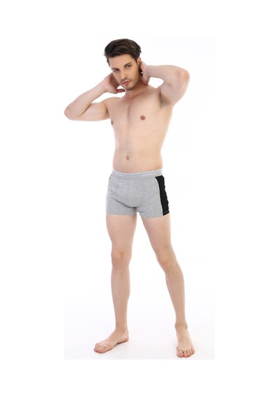 Çift Kaplan Erkek Elastanlı Biyeli Gri Boxer 850