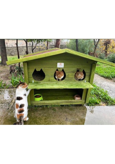 Pati Emlak Ahşap Mamalıklı Kedi Evi Pati Emlak Dış Mekan Kedi Kulübesi