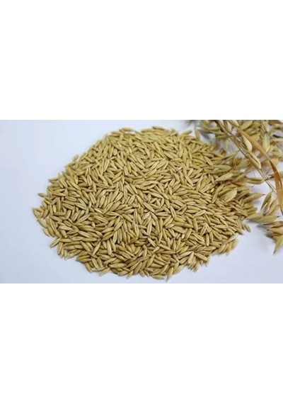 300 Gr Yulaf İçeren Kuş Yemi, Enerji Artırıcı Besin