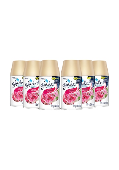 Glade Oda Kokusu Yedek Meyve & Çiçek Buketi 6'lı Set
