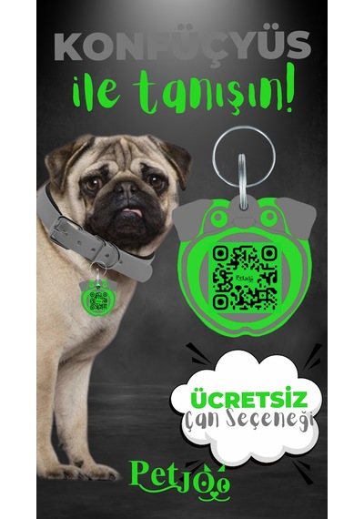 Petjoo 9.Konfüçyüs Yeşil-Gri Qr'lı Köpek Künyesi