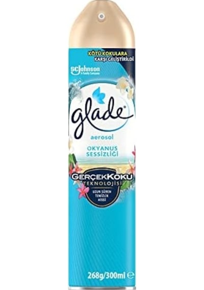 Aerosol Okyanus Sessizliği Oda Kokusu 300 Ml 1 X 300 Ml Açık Gri