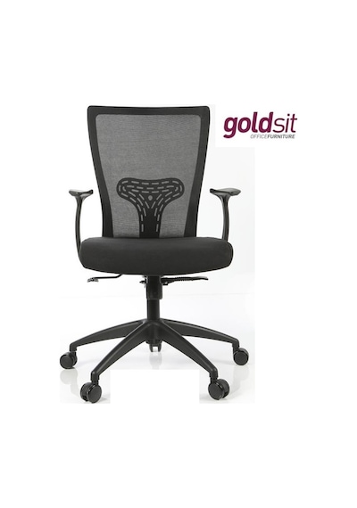 Dekofis Goldsit Çalışma Koltuğu Fileli