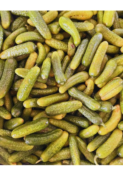 Salatalık Turşu 500gr