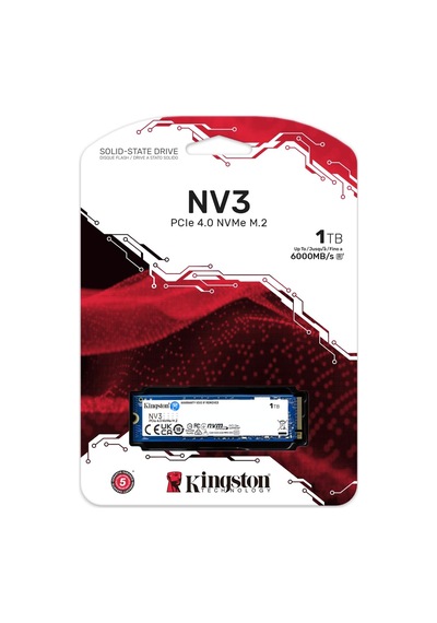 Ayrex Nv3 1tb Pcı-express 4.0 M.2 6000/4000 Mb/s Ssd Bellek Snv3s/1000g
