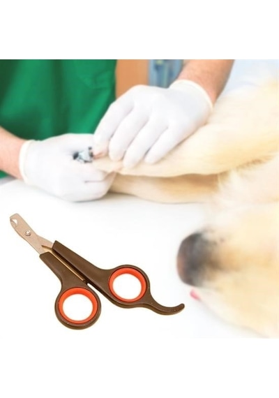 Büro Ev Evcil Hayvanı Kedi Köpek İçin Mini Çelik Uç Pati Tırnak Bakım Makası