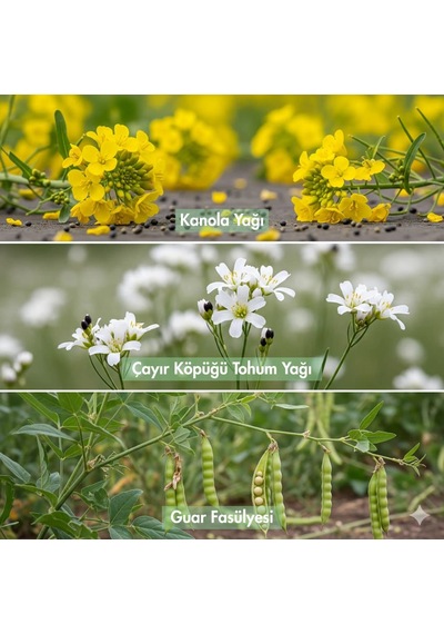 Hush Veganic Brilliant Smooth Kabaran Saçlar İçin Pürüzsüzleştiri