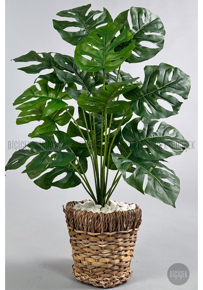 Yapay Monstera Deve Tabani 65 Cm Demi R Destekli Kulpsuz Hasir Saksıda Krem