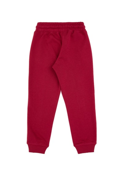 U.s. Polo Assn. Erkek Çocuk Eşofman Altı 50316517-vr104 Koyu Frambuaz/dark Raspberry