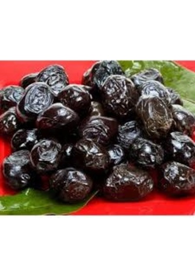 Bursatarım Gemlik Zeytin Fidanı tüplü/saksılı