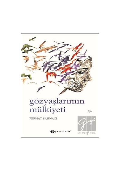 Gözyaşlarımın Mülkiyeti - Ferhat Şahnacı - Epsilon Yayınevi
