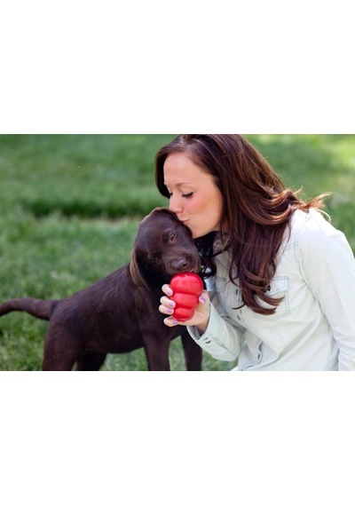 Kong Classic Köpekler İçin Çok Amaçlı Isırma Oyuncağı Xl
