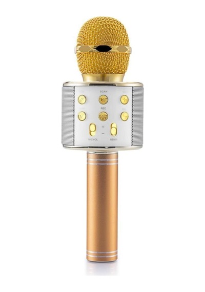 Pl-2462 Bluetooth Karaoke Mikrofon Sd-usb Gold Rengi Çok Renkli
