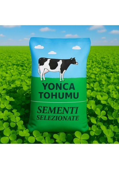 İthal Kaplamasız Yonca Tohumu Os 66 25kg