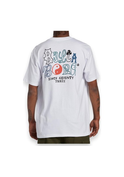 Billabong Abyzt02273 Worded Tees Beyaz Erkek T-shirt Beyaz
