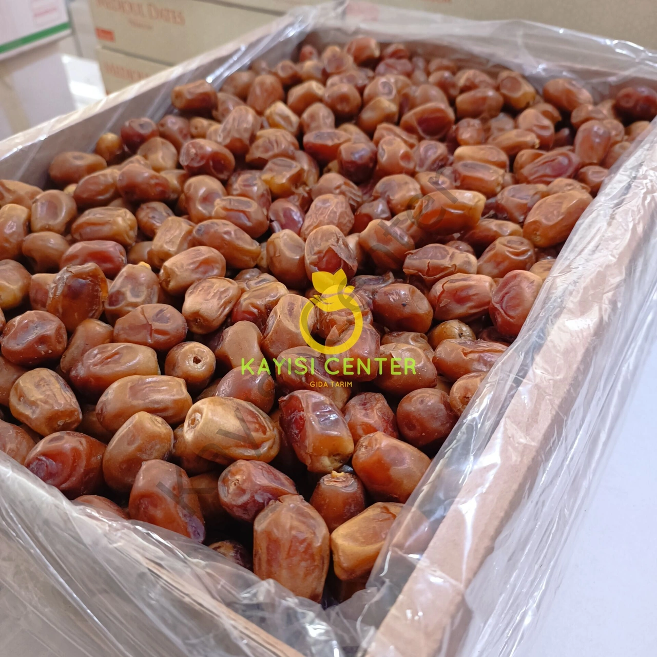 Toptan Bağdat Hurma Zahidi 10 Kg 10 KG