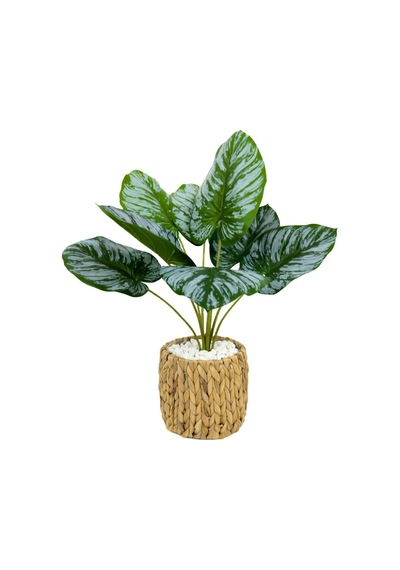 Biçiçek Yapay Salon Bi̇tki̇si̇ Bi̇tki̇si̇ 60 Cm