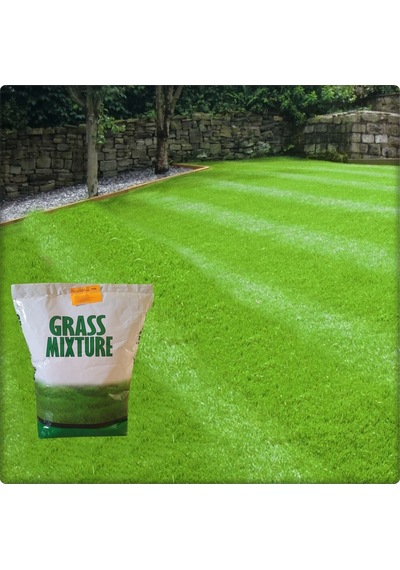 6 Farklı Çim Tohumu Karışımı Galaxy GRassmixture KG Seçiniz 10 KG 200 M²
