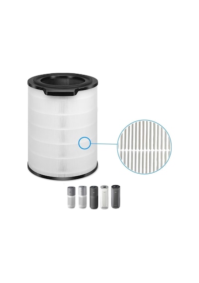 Philips Fy3430/30 Uyumlu Hepa + Karbon Filtre Ac3021, Ac3033, Ac3036, Ac3039, Ac3051, Ac3055, Ac3058 Hava Temizleyici İçin Yedek Filtre Altın - Çok Renkli