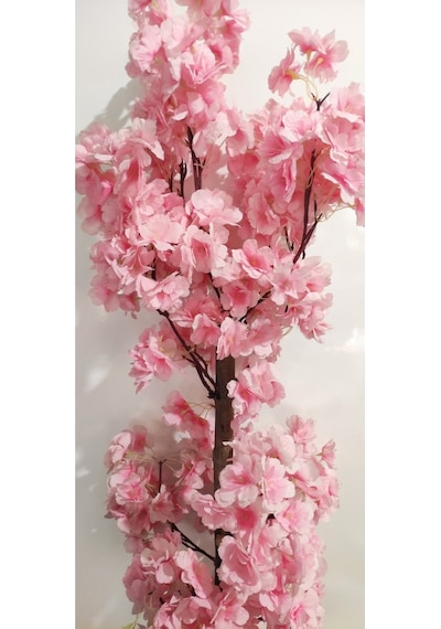 Rüzgar Çiçekcilik 1 Metre Açık Pembe Bahardali Pembe