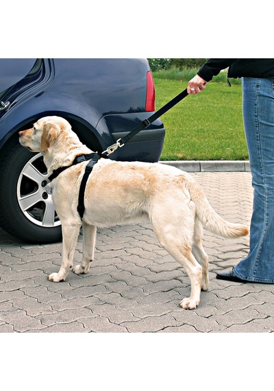 Trixie 1292 Köpek Emniyet Kemeri L 70-90 Cm