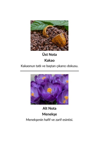 Alescia St-50 Kadın Parfüm EDP 50 ML