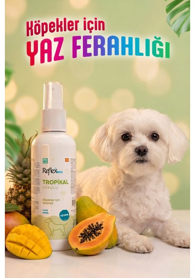 Reflex Care Tropikal Kokulu Köpek Kolonyası 125 Ml