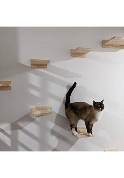 Kedi Oyun Parkuru Ahşap 6 Parça