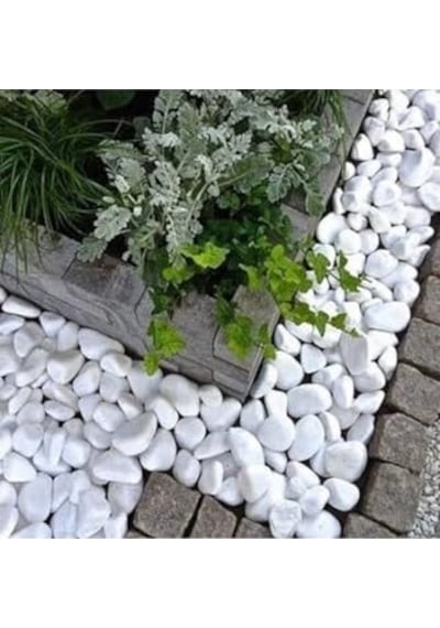 Asenya Beyaz Dolomit Taş 10 Kg 4-6 Cm Dekoratif Taş Bahçe Süs Taşı Doğal Dere Çakıl Taşı