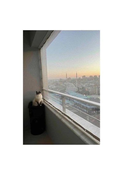 2.20 X 3 Metre Beyaz Balkon, Kedi Ve Kuş Filesi