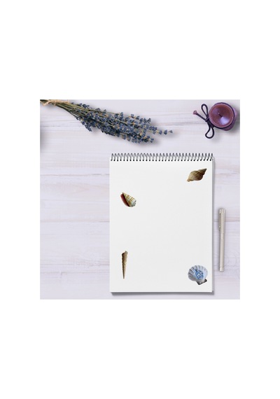 65 Adet Deniz Kabuğu İstridye Aqua Sualtı Sticker Seti - Etiket Seti Scrapbook Bullet Journal Çok Renkli