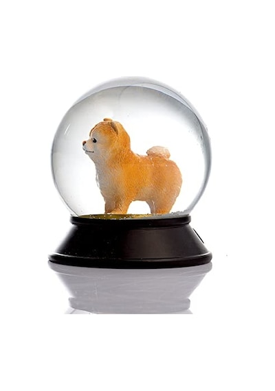 Cam Ve Reçine Altın Patiler Köpek Pomeranian Boo Kayısı Kar Küresi Hediye Diğer