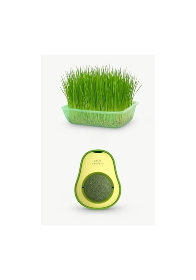 Doğal Kedi Çimi Seti Ve Avokado Catnip Oyuncağı, 2'li Paket