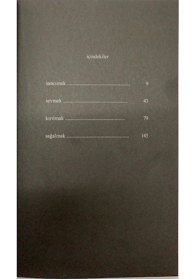 Süt ve Bal - Rupi Kaur - Pegasus Yayınları