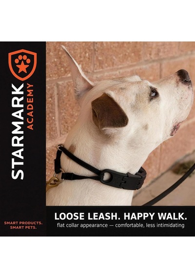 Pro-training Köpek Tasması Add-a-link Small Çok Renkli