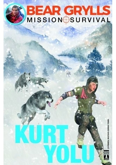 Kurt Yolu N11.34067