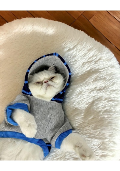Kemique Blue Line Kapşonlu Kedi Kıyafeti Kedi Sweatshirt