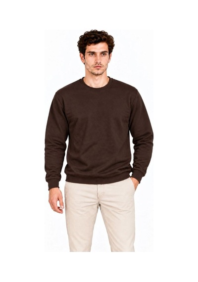 Erkek 2'li Bisiklet Yaka İçi Şardonlu 2 İplik Düz Uzun Kollu Regular Fit Sweatshirt -bordo & Kahverengi Çok Renkli