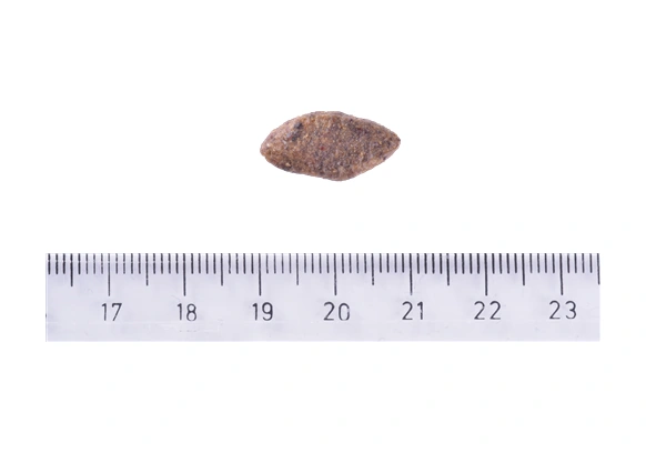 Brit Care Gıda İntoleransı Ve Deri Hassasiyet Problemi Olan Köpekler İçin, Larva Ve Balık Etli Kuru Mama 12 Kg