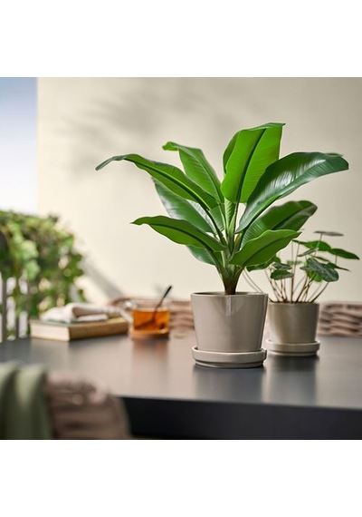 Ikea Fejka Yapay Bitki, Yeşil, 12 Cm, İç/dış Mekan Muz Ağacı
