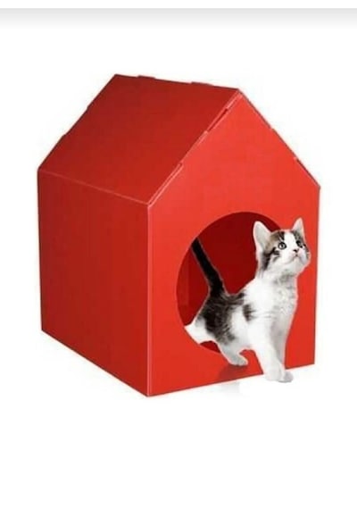 Kedi Evi Kulübesi Yuvası