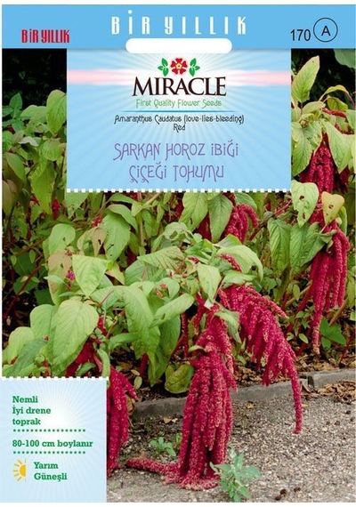 Miracle Sarkan Kırmızı Amaranthus Horoz İbiği Çiçeği Tohumu 15