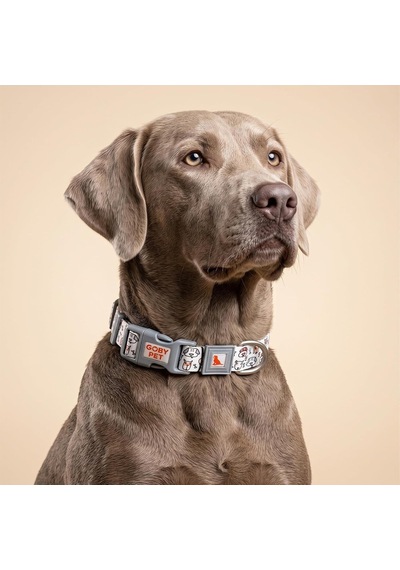 Airmesh Köpek Gezdirme Boyun Tasma Seti Xs - Küçük Irk Köpek Ve Kedi Gezdirme Tasması Nefes Alabilen File Kumaş, 3-5 Kg Gri