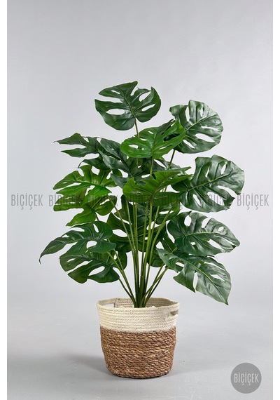 Yapay Monstera Deve Tabani 65 Cm Hasir Saksıda Krem
